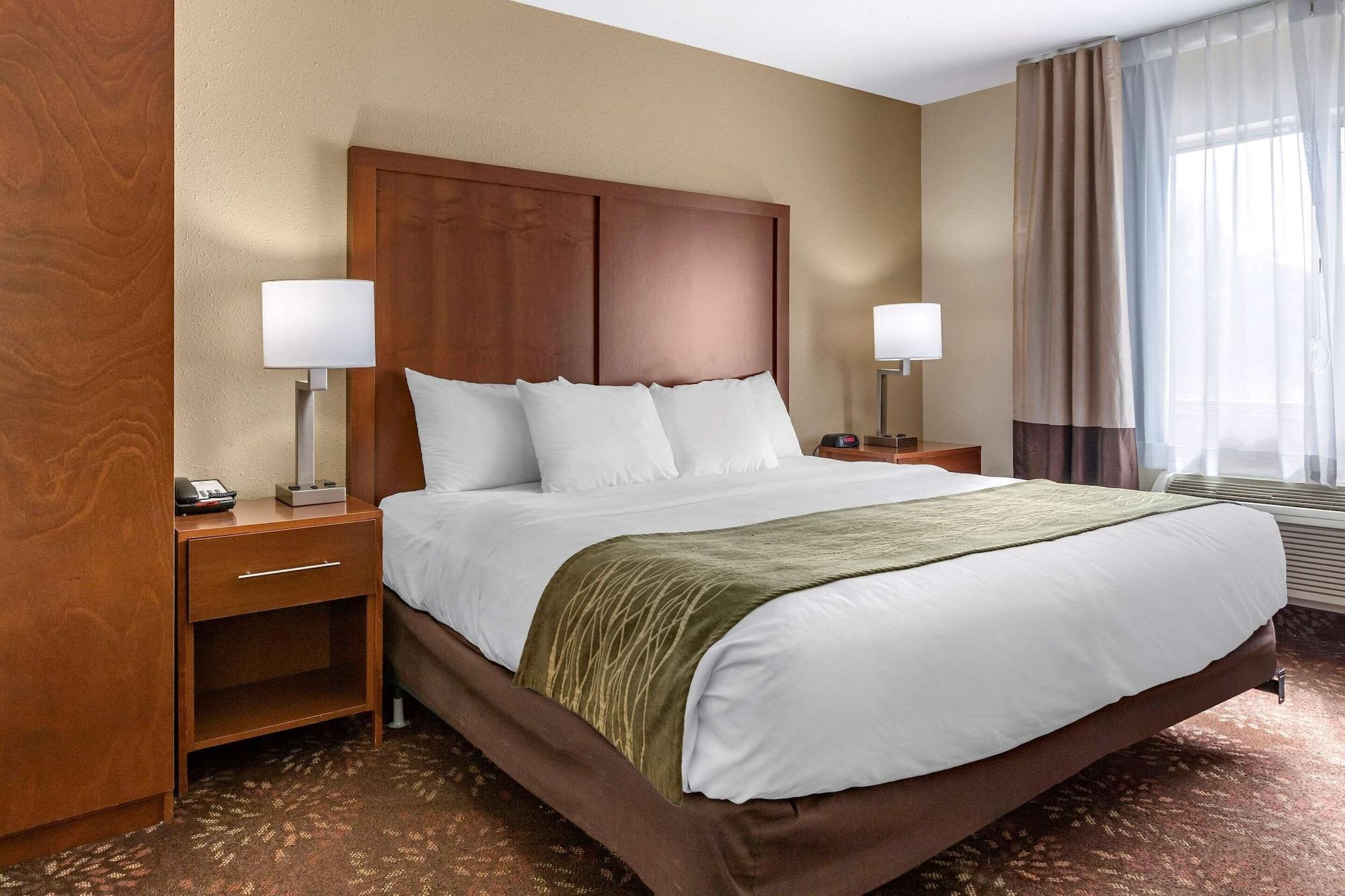 Comfort Inn Okemos - East Lansing Eksteriør billede